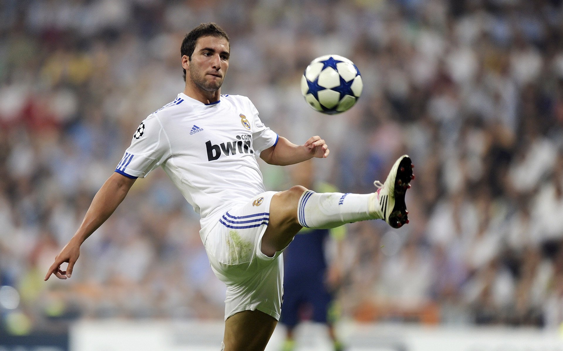 足球赛场焦点！比利时队对阵德国队，主力缺阵，替补球员挺身而出